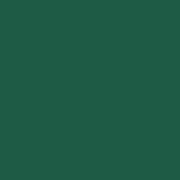 Studio Raya logo